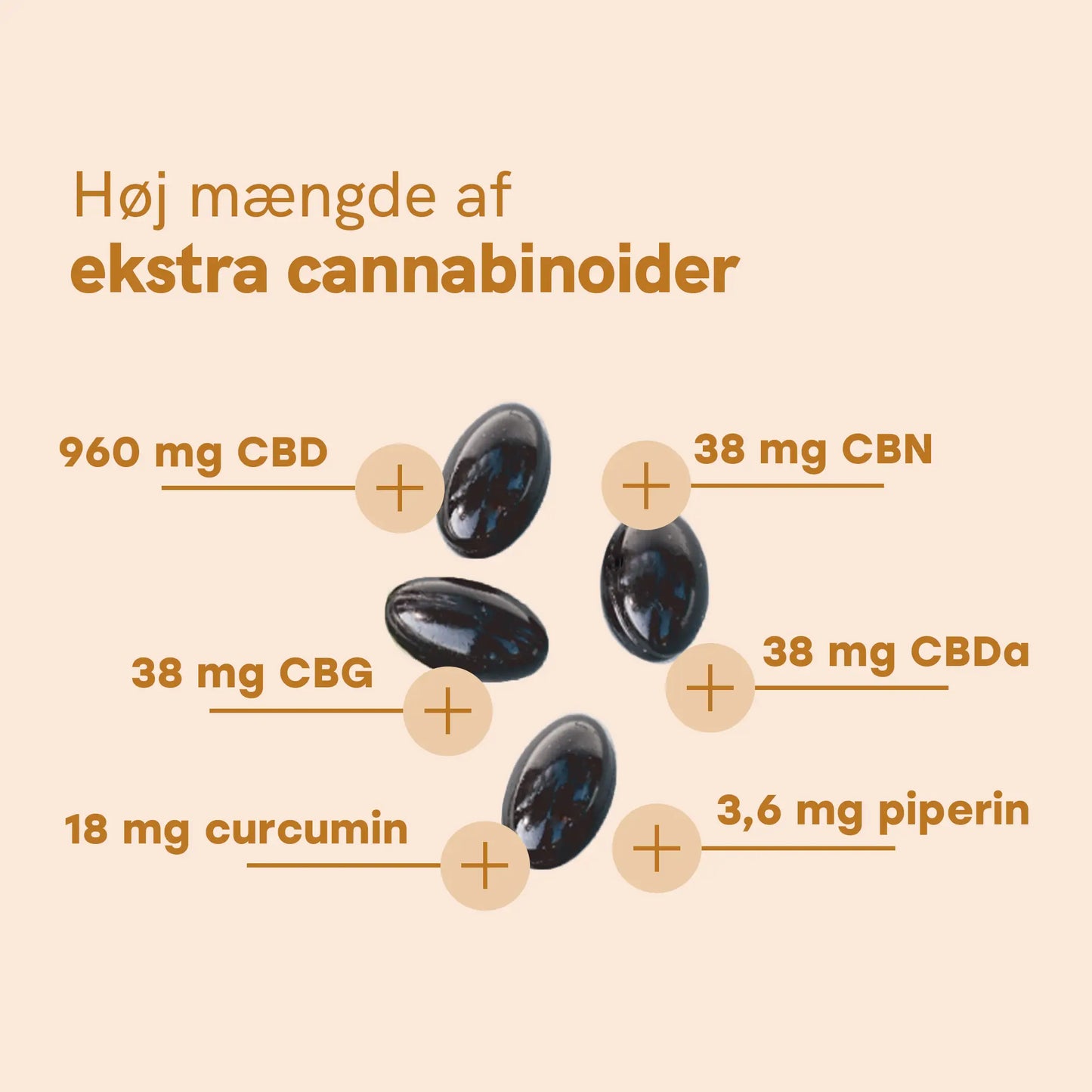 CBD Kapsler (960mg) med Curcumin