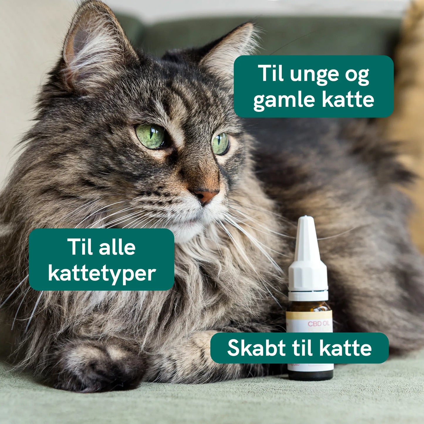 CBD Olie til Katte - Fisk (2,5%)