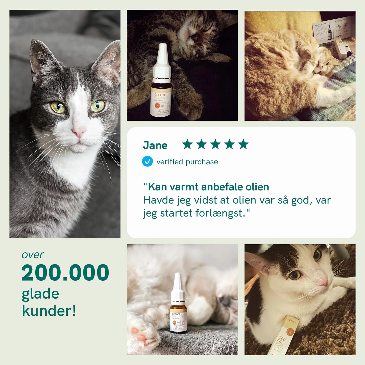 CBD Olie til Katte - Fisk (2,5%)