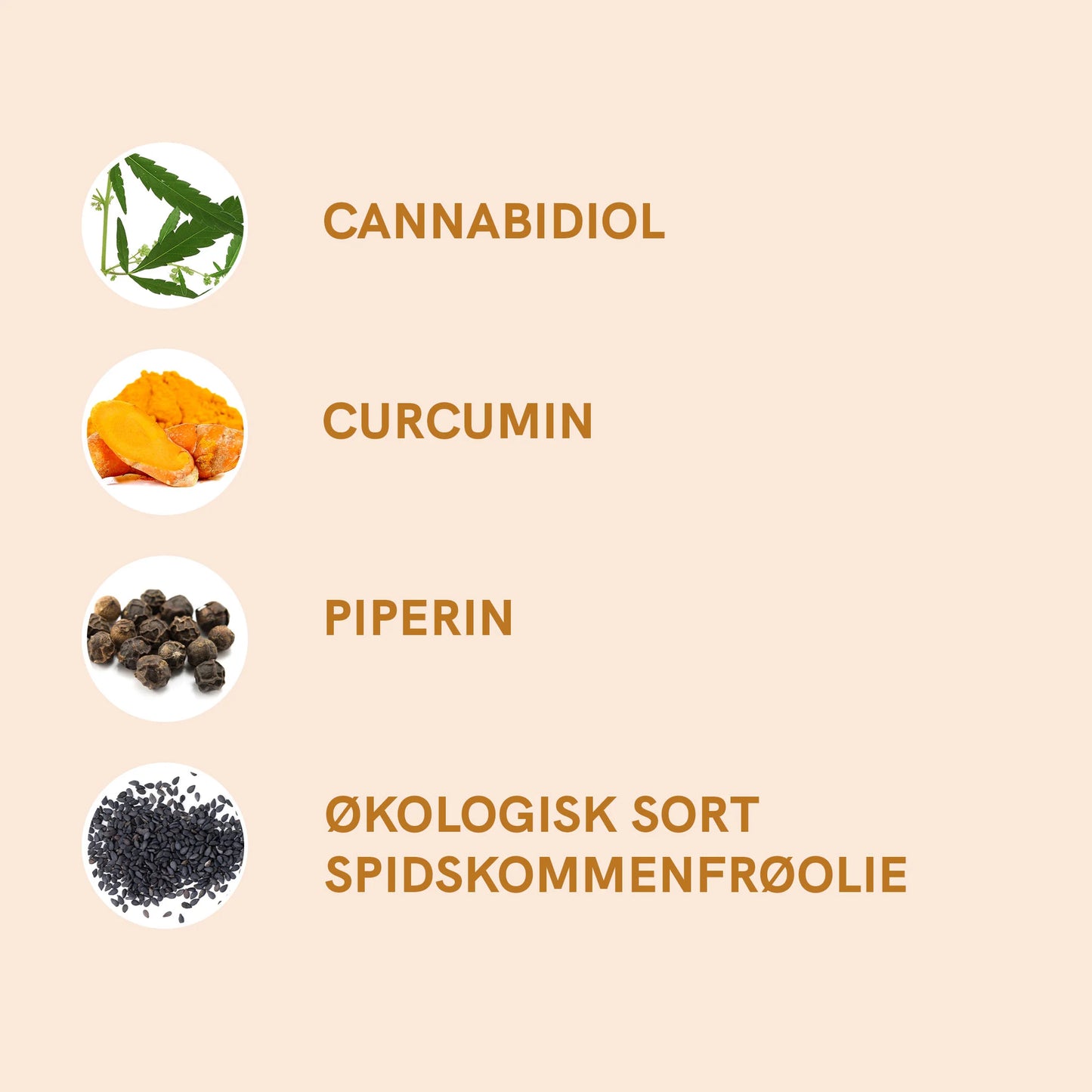 CBD Olie (20%) med Curcumin