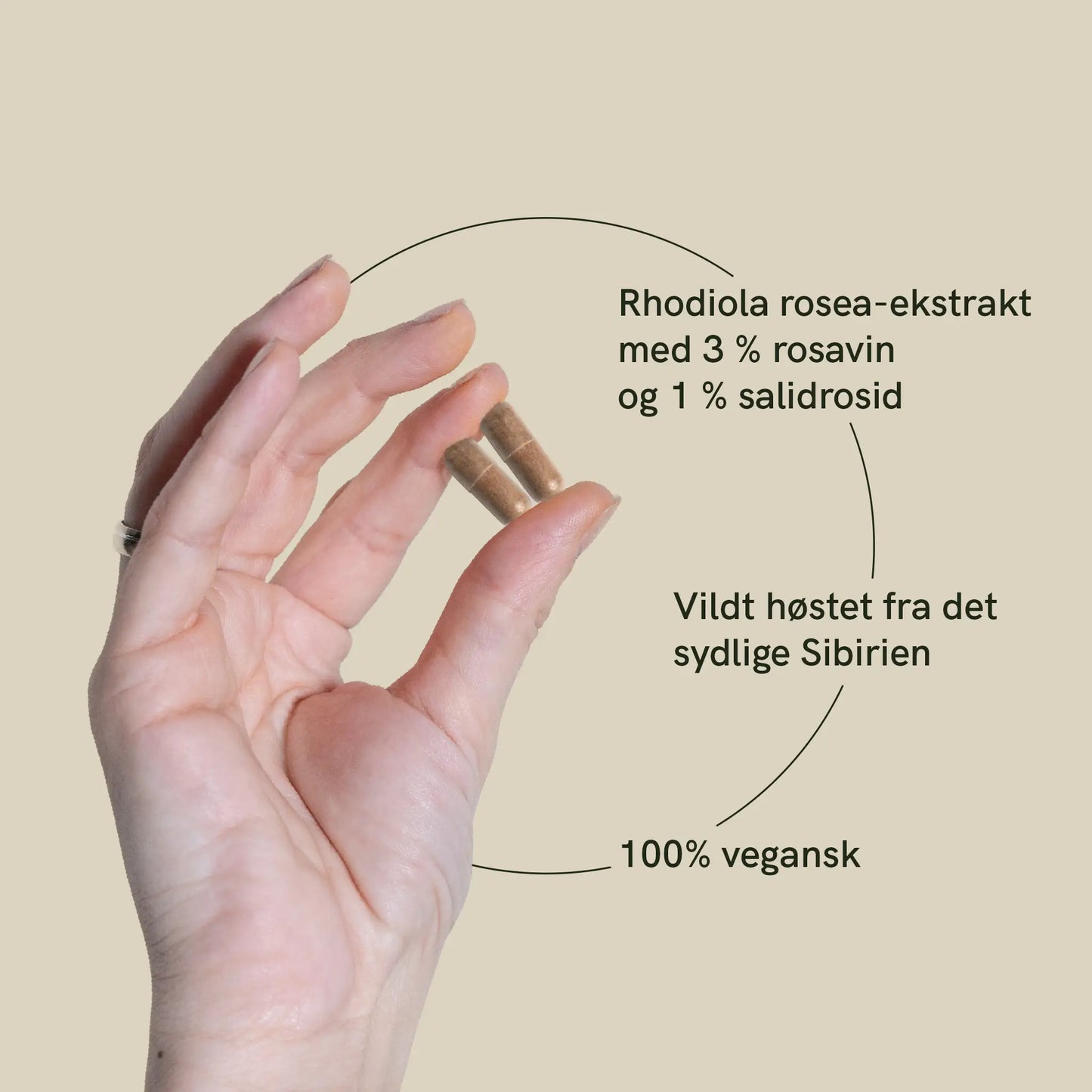 Rosenrodkapsler