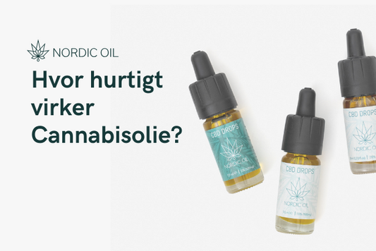 Hvor hurtigt virker Cannabisolie?