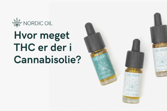 Hvor meget THC er der i Cannabisolie?