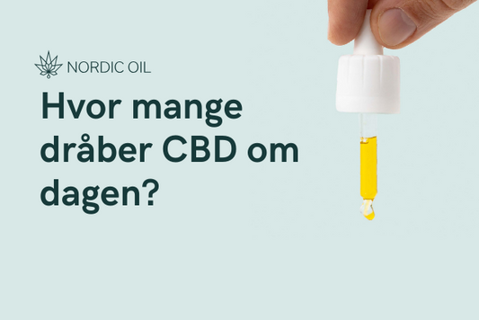 Hvor mange dråber CBD om dagen?