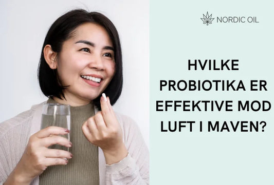 Hvilke probiotika er effektive mod luft i maven?