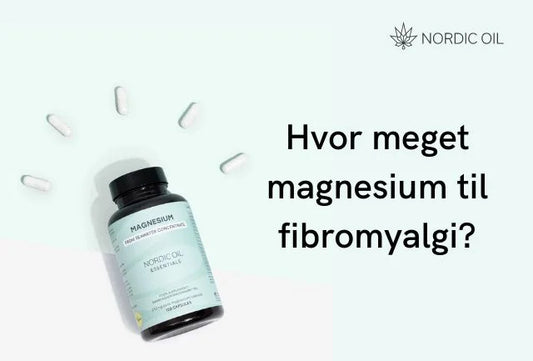 Hvor meget magnesium til fibromyalgi?