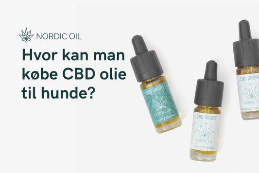 Hvor kan man købe CBD olie til hunde?