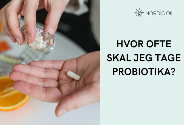 Hvor ofte bør man tage probiotika for dagligt velvære?