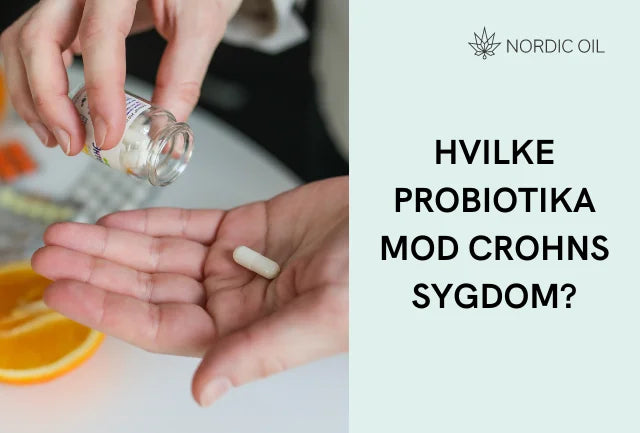 Hvilke probiotika hjælper mod Crohns sygdom?