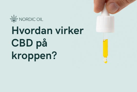 Hvordan virker CBD på kroppen?