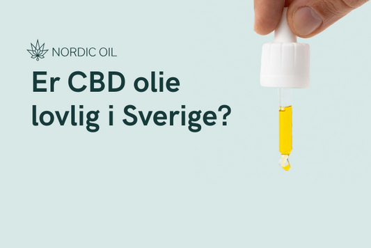 Er CBD olie lovlig i Sverige?