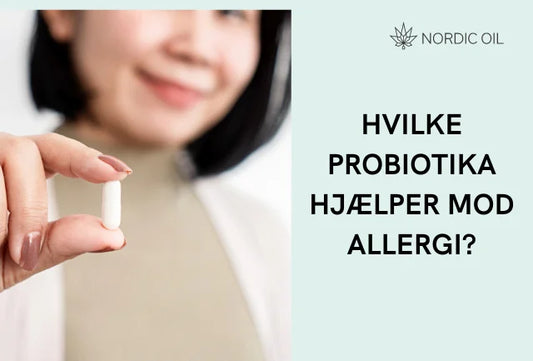 Hvilke probiotika hjælper mod allergi? En guide