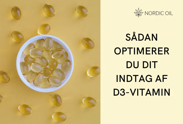 Sådan optimerer du dit indtag af D3-vitamin: En guide