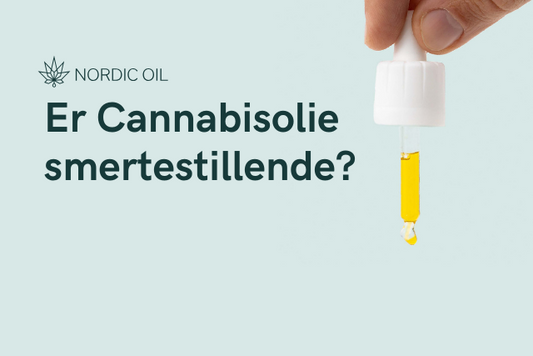 Er Cannabisolie smertestillende?