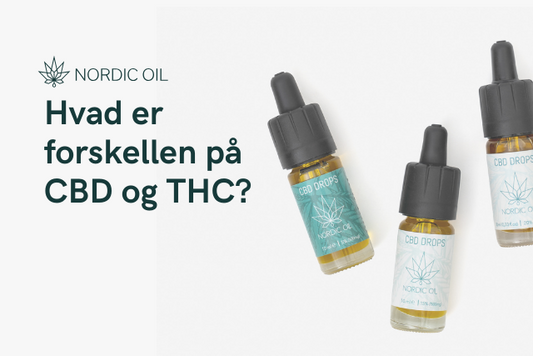 Hvad er forskellen på CBD og THC?