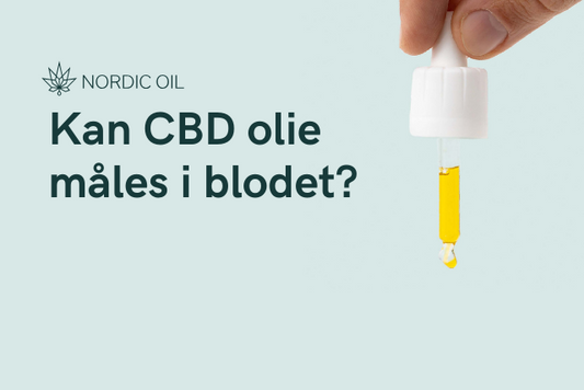 Kan CBD olie måles i blodet?