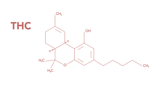 HVAD ER THC (TETRAHYDROCANNABINOL)?