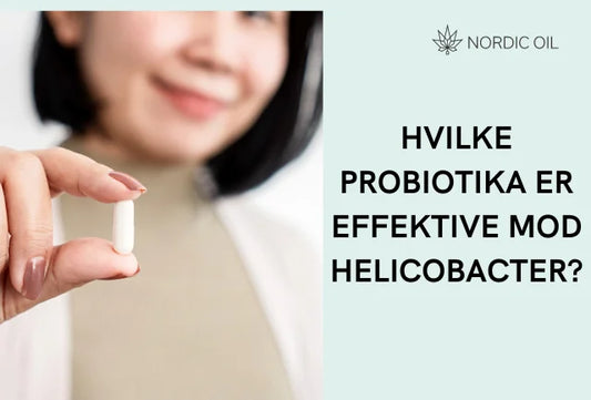 Hvilke probiotika er effektive mod Helicobacter?