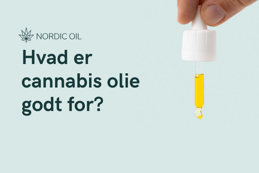 Hvad er cannabis olie godt for?