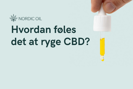 Hvordan føles det at ryge CBD?