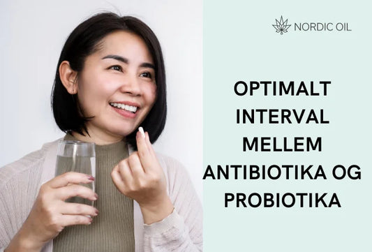 Optimalt interval mellem antibiotika og probiotika: Hvornår og hvorfor?