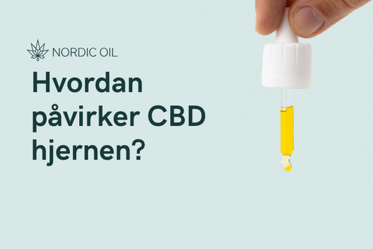 Hvordan påvirker CBD hjernen?