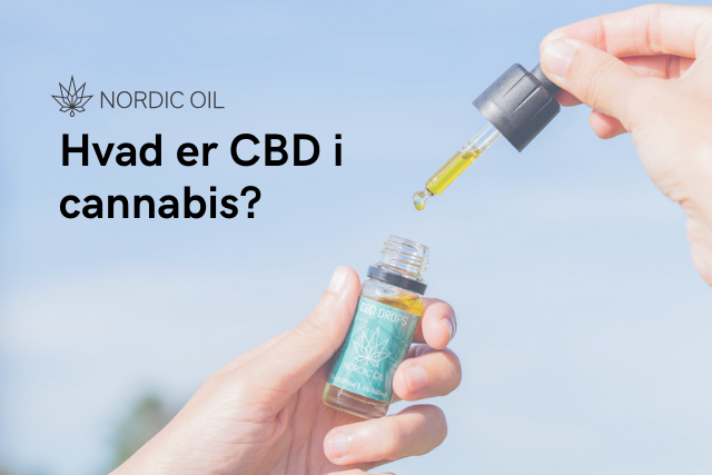 Hvad er CBD i cannabis?