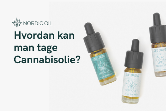 Hvordan kan man tage Cannabisolie?