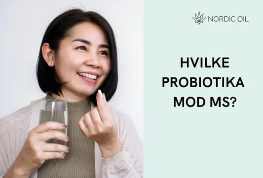 Hvilke probiotika kan hjælpe mod MS?