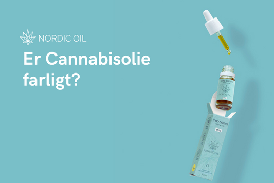 Er Cannabisolie farligt?