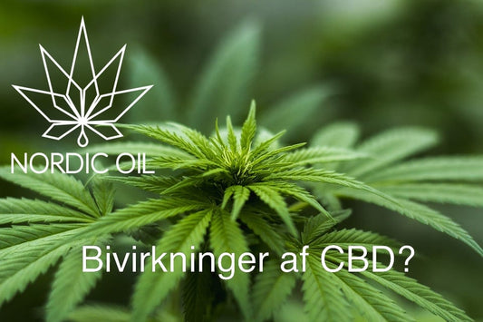 Bivirkninger-af-cbd