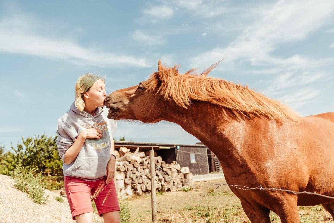 Hest kysser kvinde