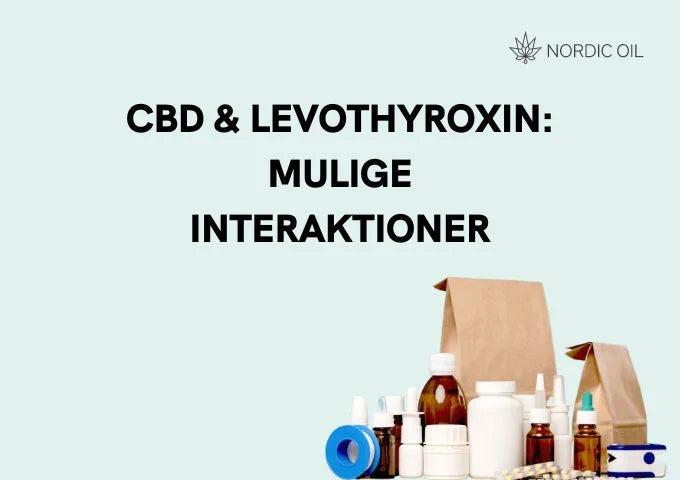 CBD og Levothyroxin mulige interaktioner