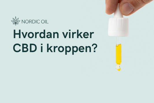 Hvordan virker CBD i kroppen?