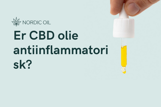 Er CBD olie antiinflammatorisk?