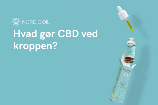 Hvad gør CBD ved kroppen?