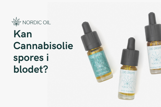 Kan Cannabisolie spores i blodet?