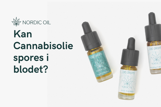 Kan Cannabisolie spores i blodet?