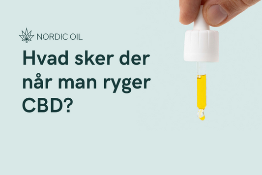 Hvad sker der når man ryger CBD?