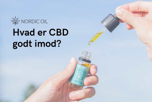 Hvad er CBD godt imod?