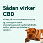 CBD Olie til Hunde