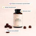 Fokusgummier med medicinske svampe