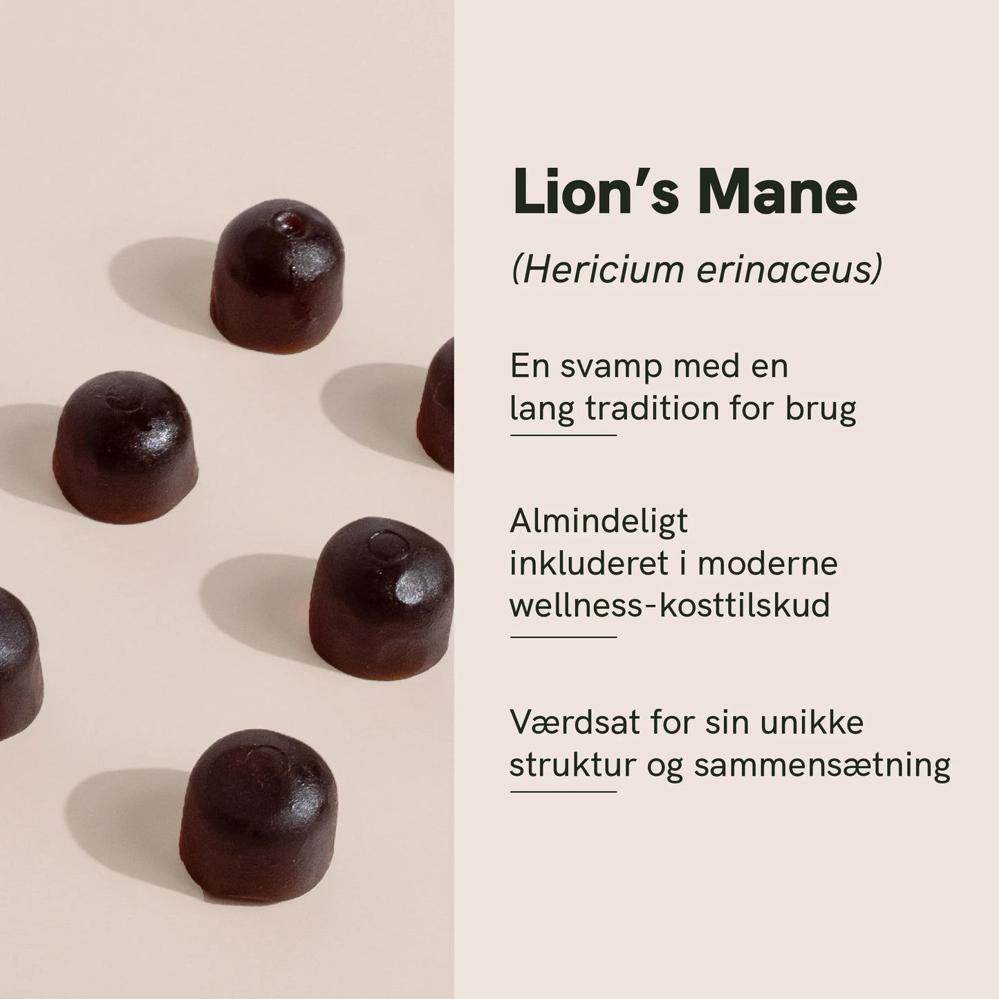 Lion's mane svampe gummies