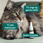 CBD Olie til Katte - Fisk (2,5%)