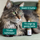 CBD Olie til Katte - Fisk (2,5%)