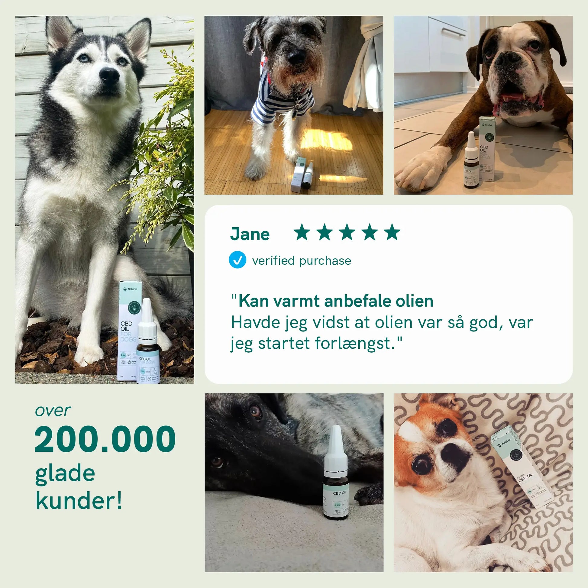 Kollage af hunde med Nordic Oil CBD-olie og kundeanmeldelser.