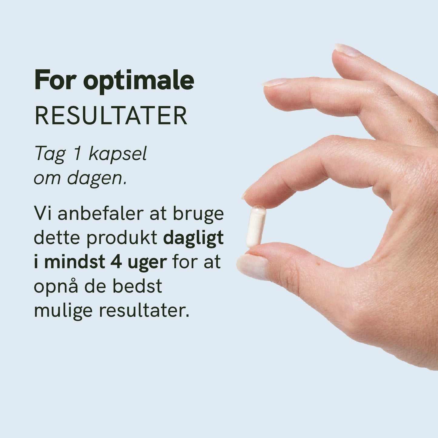 Probiotika - Mælkesyrebakterier