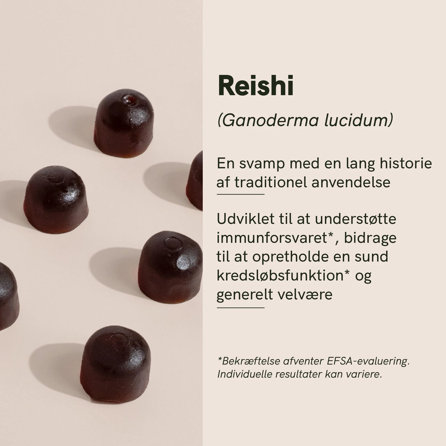 Reishi svampe gummies