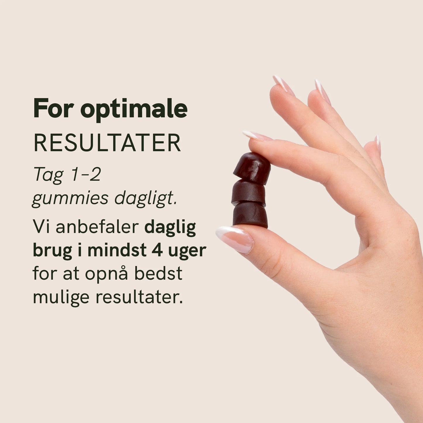 Reishi svampe gummies