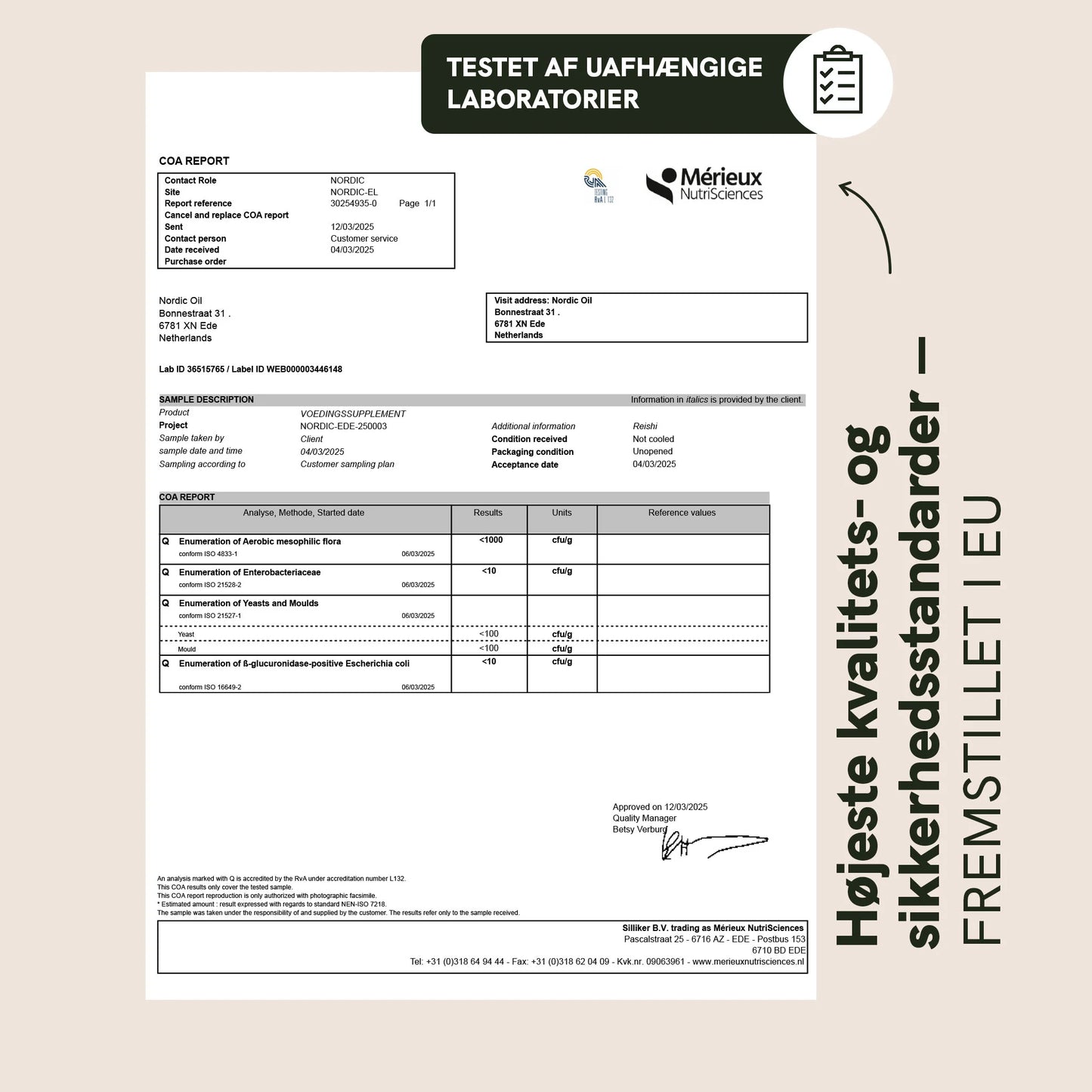 Reishi svampe gummies